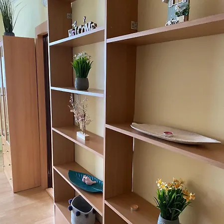 2kk U Fakultní Nemocnice Volné Parkovaní *
